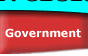 Link to How government works