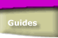 Link to How Parliament works