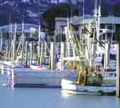 Photo of small fishing boats in harbour. 