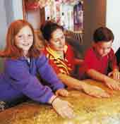 Photo shows Te Papa staff showing exhibit. 