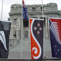 The official - and alternative flags - fluttering in front of Parliament 
