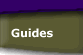 Link to DecisionMaker guides